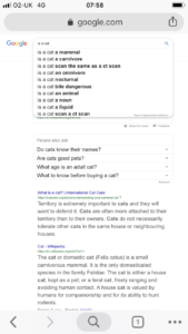 A screenshot of suggestions for cat questions